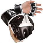 Fitness MMA Gloves